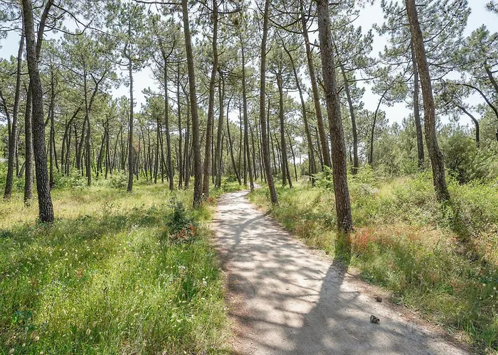 Casa de Férias Awesome In *